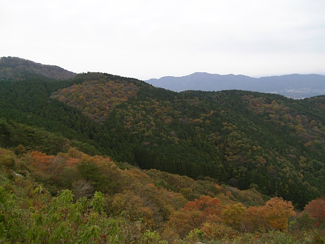 だいぶ紅葉してきた山