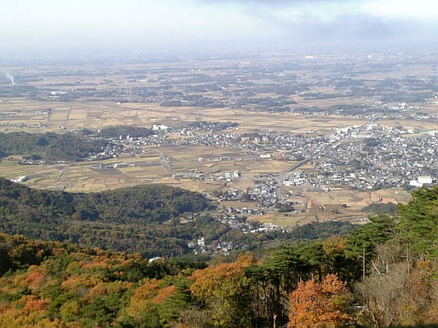 確かにいい景色ですね...